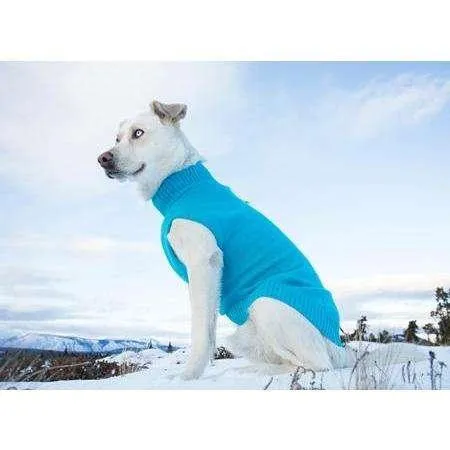 RC Dog Polaris Sweater Teal