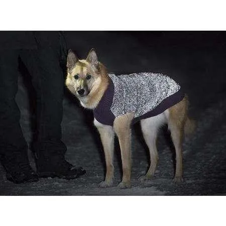 RC Dog Polaris Sweater Teal