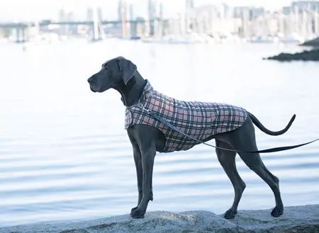 RC Pet Whistler Winter Wear Red Tartan