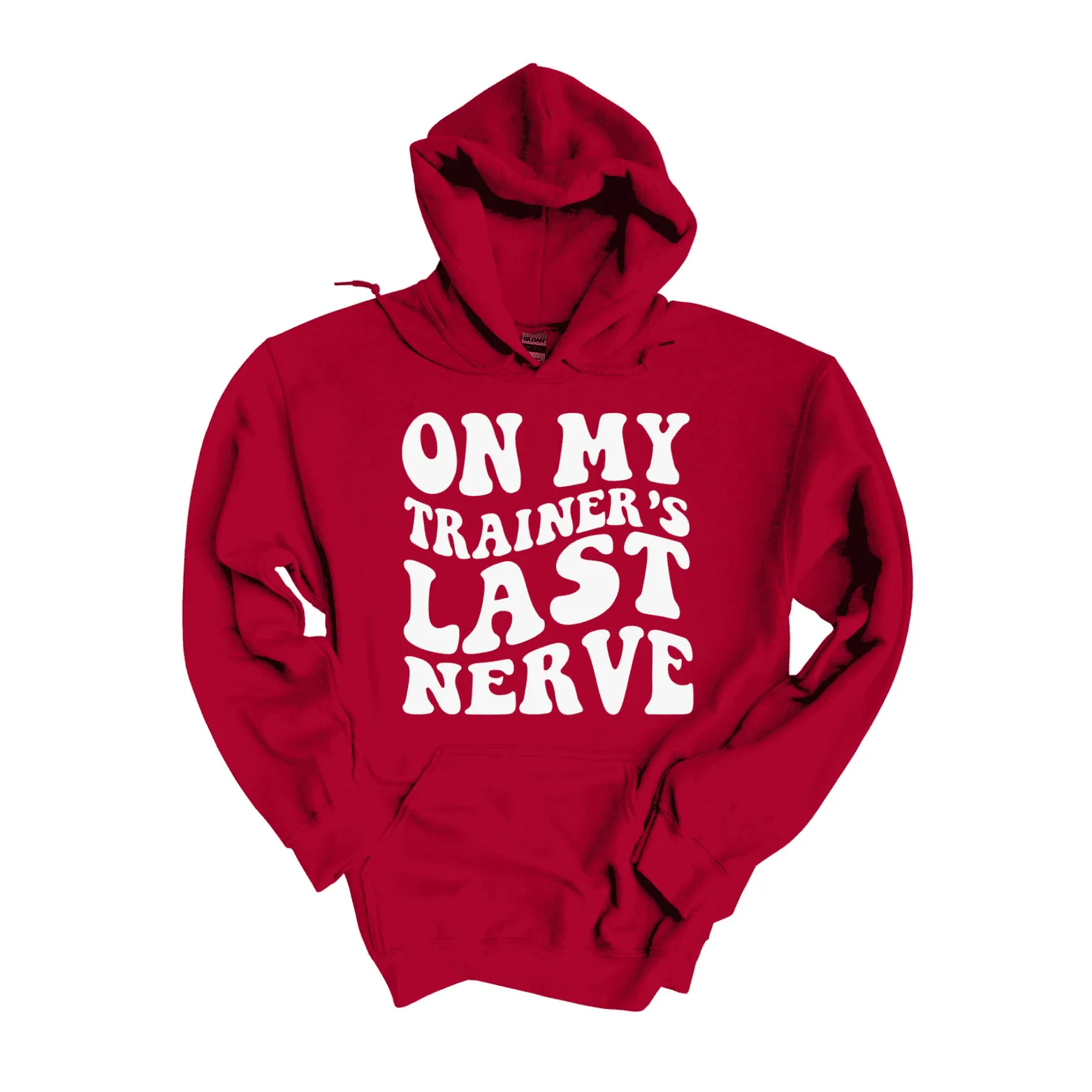 Trainer’s Last Nerve  Hoodie (Unisex)